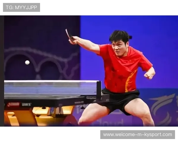 专家分析：反手神准助樊振东重拾巅峰状态，樊振东反手训练视频