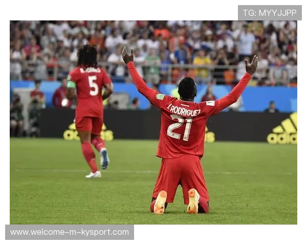 南非队守备出色,展现冠军风范,南非比赛 南非队守备出色,展现冠军风范,南非比赛