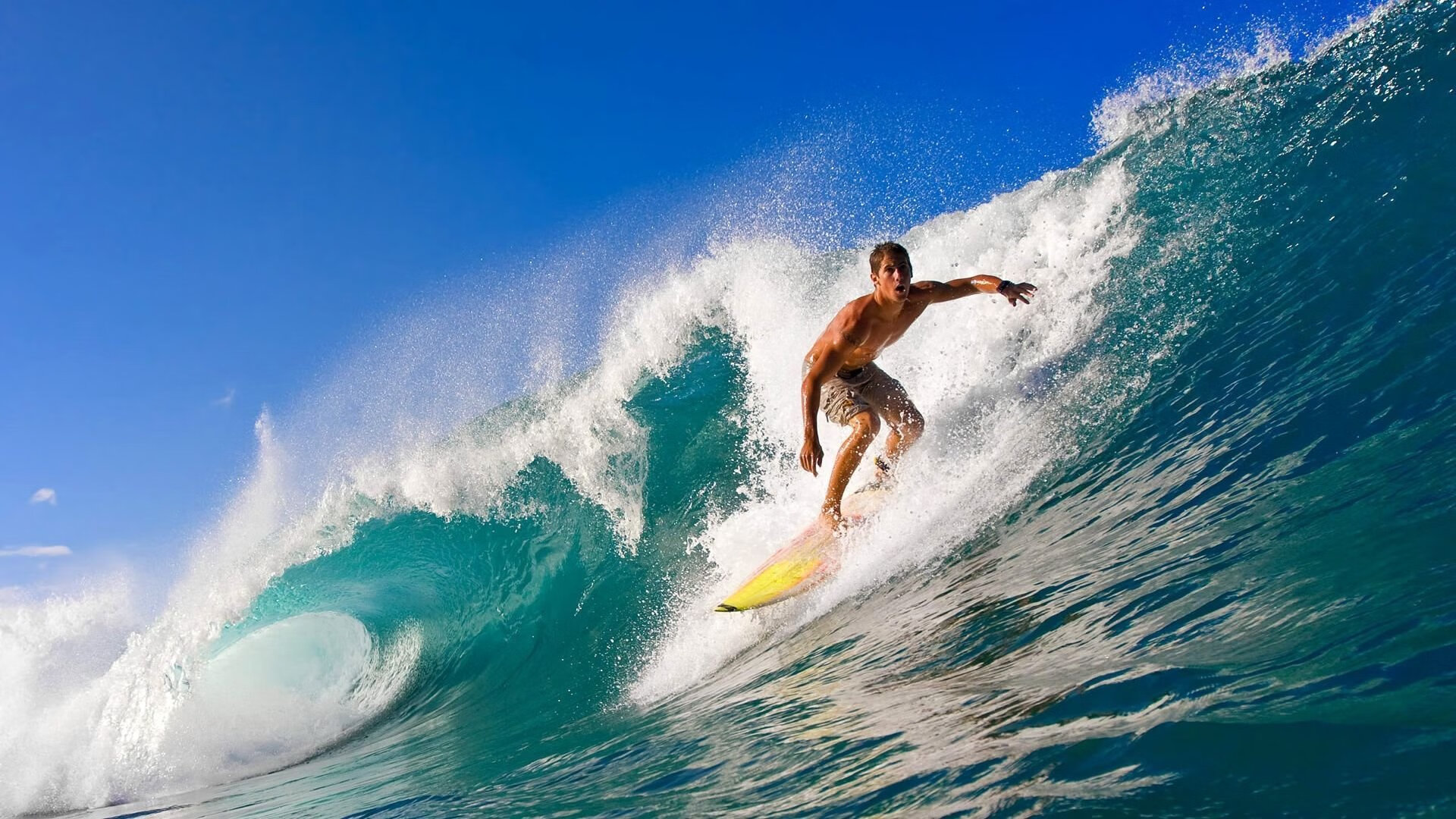 国际赛事在推动本地体育产业发展方面贡献显著,国际体育赛事对举办地的影响